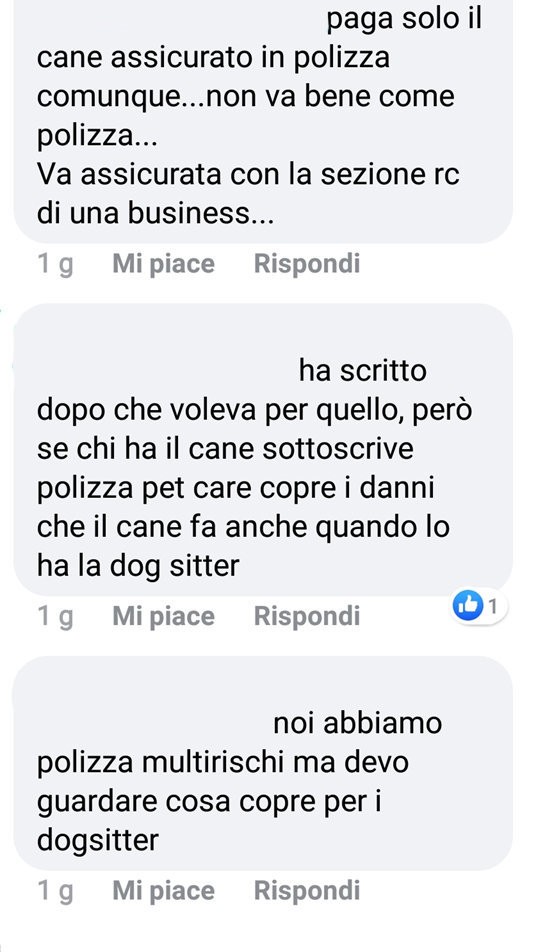 ritaglio post facebook 12 discussione gruppo consulenti assicurativi scarsi